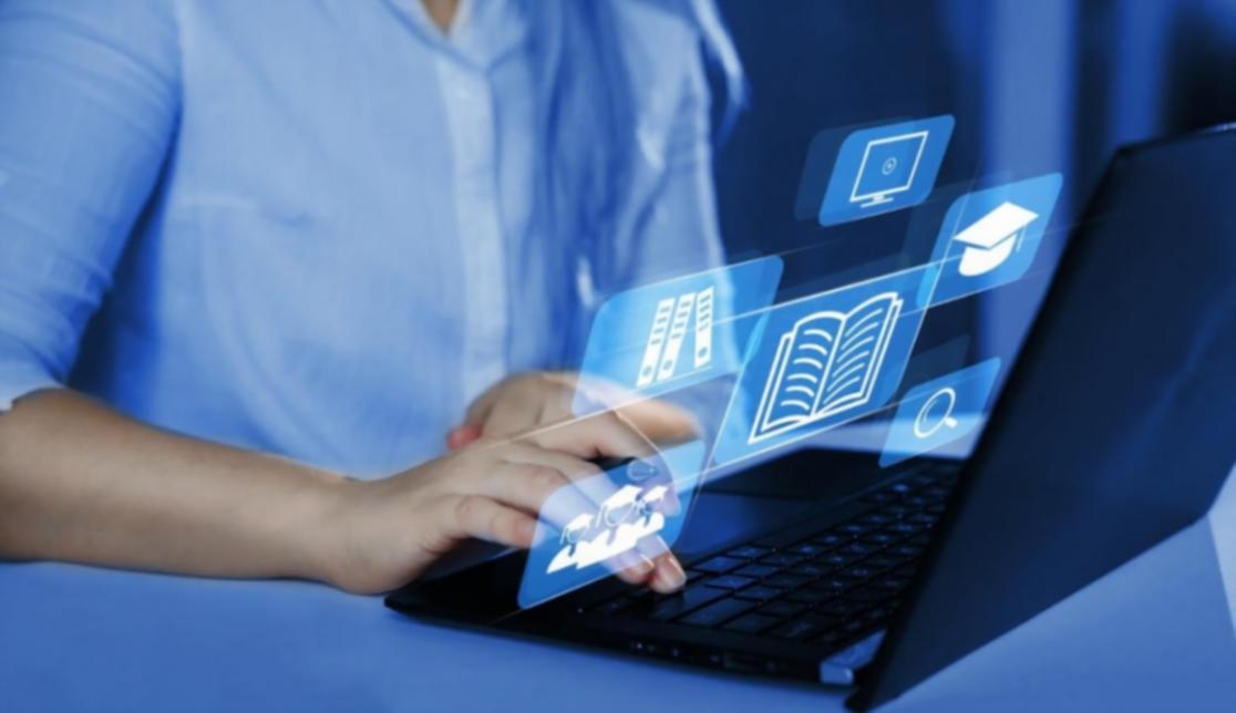 Online learning environment with structured lessons